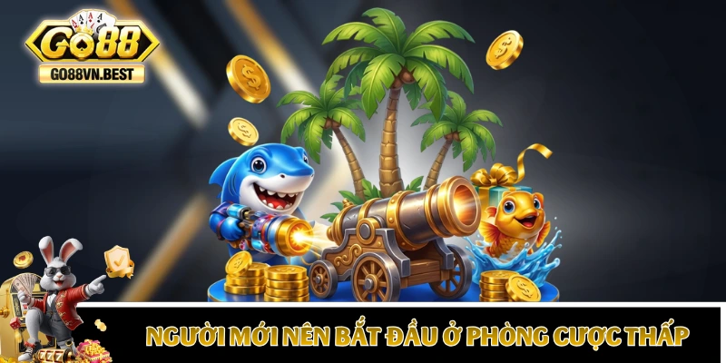 Người mới nên bắt đầu ở những phòng cược thấp